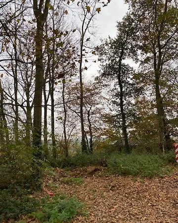 Vakantiewoning Petit Watou Appartamento